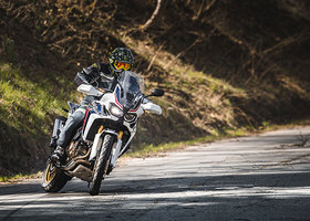 6988_02.jpg - PSí Hubík 