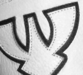 cb_logo z kombi_3.jpg - PSí Hubík 