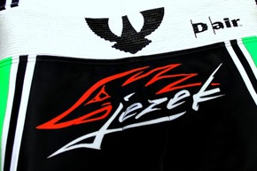 Ježek_titulka.jpg - PSí Hubík 